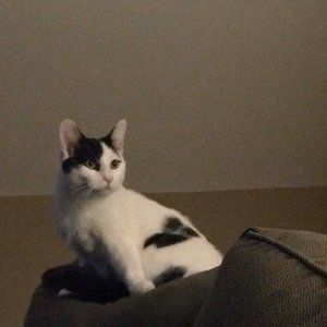 Meet your Posher, Lee